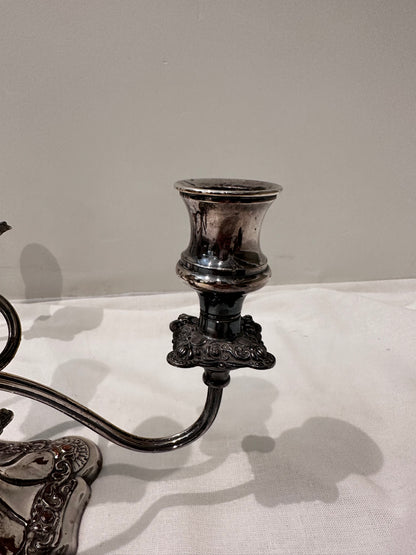 Pair of Candelabras