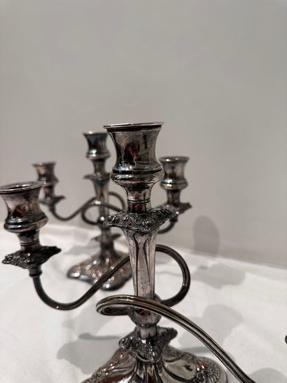 Pair of Candelabras